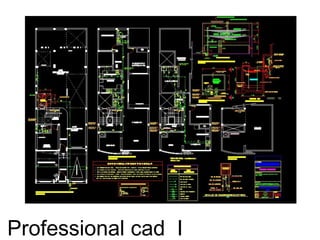 Professional cad I
 