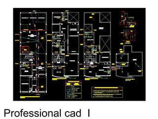 Professional cad I
 