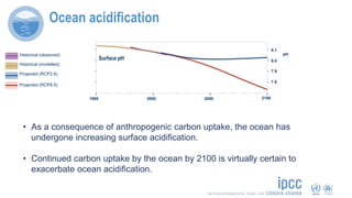 • As a consequence of anthropogenic carbon uptake, the ocean has
undergone increasing surface acidification.
• Continued carbon uptake by the ocean by 2100 is virtually certain to
exacerbate ocean acidification.
Ocean acidification
Surface pH
1950 2000 2050 2100
8.1
8.0
7.9
pH
7.8
Historical (observed)
Historical (modelled)
Projected (RCP2.6)
Projected (RCP8.5)
 