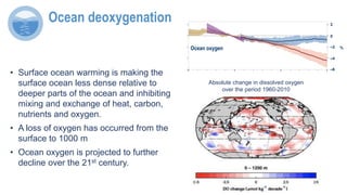 Absolute change in dissolved oxygen
over the period 1960-2010
Ocean oxygen
2
0
–2
–6
%
–4
Ocean deoxygenation
• Surface ocean warming is making the
surface ocean less dense relative to
deeper parts of the ocean and inhibiting
mixing and exchange of heat, carbon,
nutrients and oxygen.
• A loss of oxygen has occurred from the
surface to 1000 m
• Ocean oxygen is projected to further
decline over the 21st century.
 