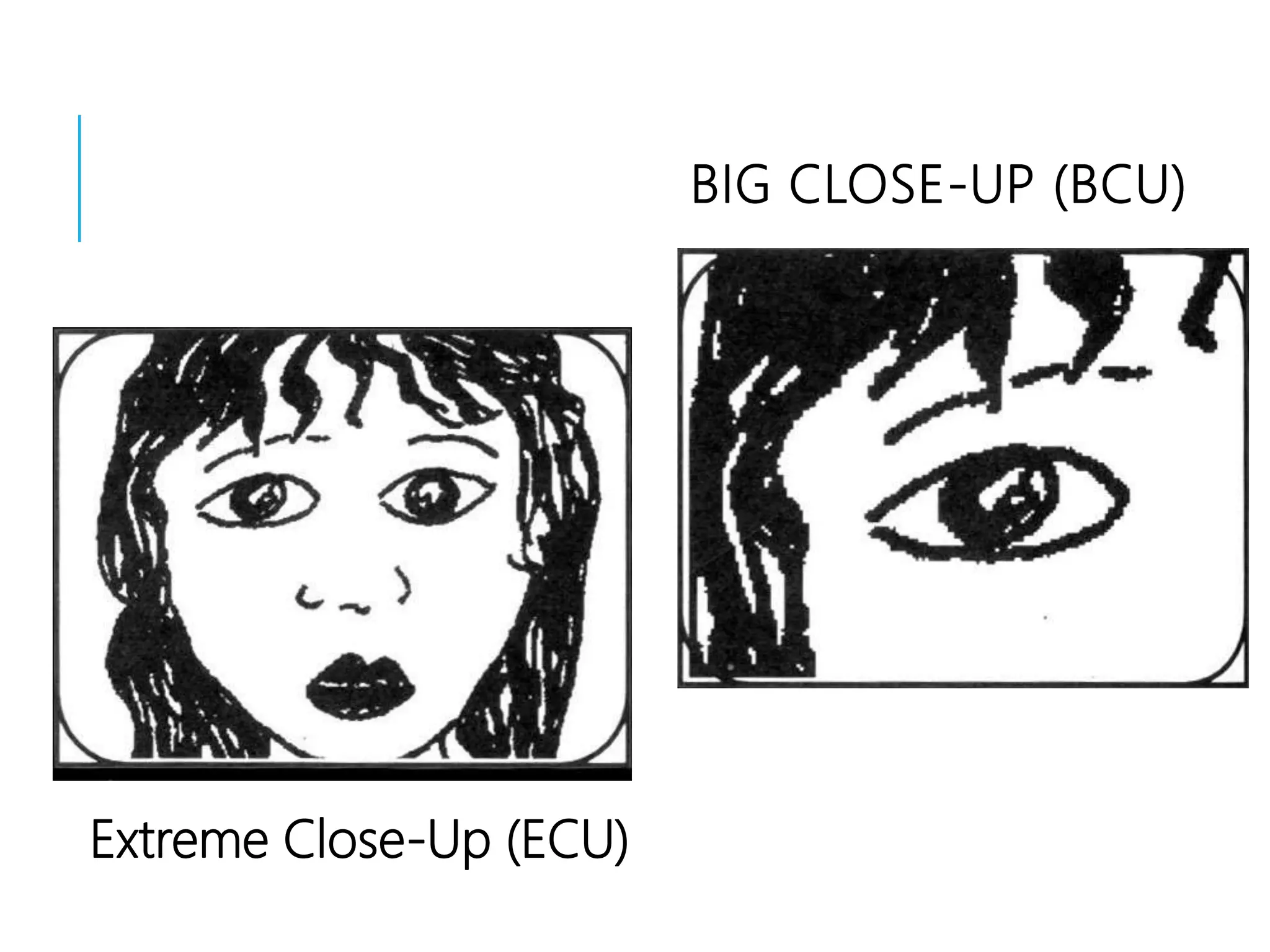BIG CLOSE-UP (BCU)
Extreme Close-Up (ECU)
 