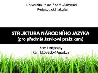 Kamil Kopecký
kamil.kopecky@upol.cz
Univerzita Palackého v Olomouci -
Pedagogická fakulta
 