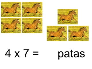 4 x 7 = patas
 