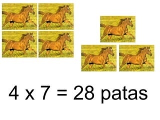 4 x 7 = 28 patas
 