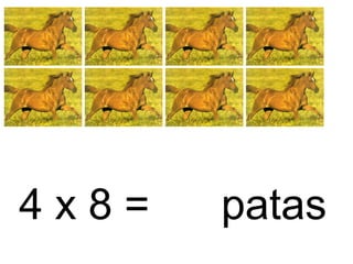 4 x 8 = patas
 