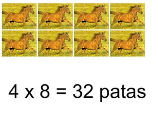 4 x 8 = 32 patas
 