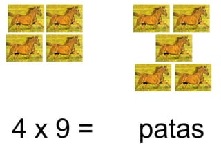 4 x 9 = patas
 