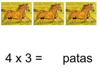 4 x 3 = patas
 