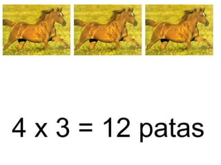 4 x 3 = 12 patas
 