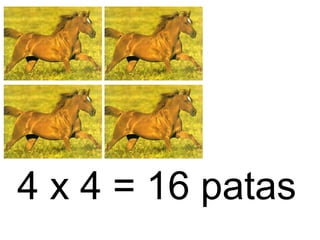 4 x 4 = 16 patas
 