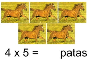 4 x 5 = patas
 