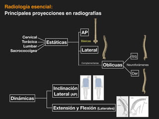 iDESIGN
by HiSlide.io
Radiología esencial:
Principales proyecciones en radiografías
Estáticas
AP
Lateral
Oblicuas
Cervical
Torácica
Lumbar
Sacrococcígea
Neuroforámenes
Complementarias
Básicas
Izq
Der
Dinámicas
Extensión y Flexión (Laterales)
Inclinación
Lateral (AP)
 