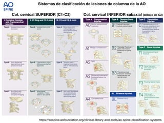 Sistemas de clasificación de lesiones de columna de la AO
Col. cervical SUPERIOR (C1-C2) Col. cervical INFERIOR subaxial (debajo de C2)
https://aospine.aofoundation.org/clinical-library-and-tools/ao-spine-classification-systems
 
