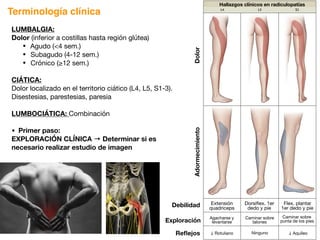 L4 L5 S1
Hallazgos clínicos en radiculopatías
Debilidad
Exploración
Reflejos
Dolor
Adormecimiento
Extensión
quadriceps
Dorsiflex. 1er
dedo y pie
Flex. plantar
1er dedo y pie
Caminar sobre
talones
Caminar sobre
punta de los pies
Agacharse y
levantarse
↓ Rotuliano ↓ Aquíleo
Ninguno
Terminología clínica
LUMBALGIA:
Dolor (inferior a costillas hasta región glútea)
• Agudo (4 sem.)
• Subagudo (4-12 sem.)
• Crónico (≥12 sem.)
CIÁTICA:
Dolor localizado en el territorio ciático (L4, L5, S1-3).
Disestesias, parestesias, paresia
LUMBOCIÁTICA: Combinación
• Primer paso:
EXPLORACIÓN CLÍNICA → Determinar si es
necesario realizar estudio de imagen
 