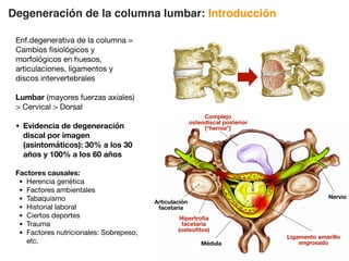 Enf.degenerativa de la columna =
Cambios fisiológicos y
morfológicos en huesos,
articulaciones, ligamentos y
discos intervertebrales
Lumbar (mayores fuerzas axiales)
 Cervical  Dorsal
• Evidencia de degeneración
discal por imagen
(asintomáticos): 30% a los 30
años y 100% a los 60 años
Factores causales:
• Herencia genética
• Factores ambientales
• Tabaquismo
• Historial laboral
• Ciertos deportes
• Trauma
• Factores nutricionales: Sobrepeso,
etc.
Degeneración de la columna lumbar: Introducción
Complejo
osteodiscal
posterior
(hernia)
Nervio
Hipertrofia
facetaria
(osteofitos)
Articulación
facetaria
Médula
Ligamento amarillo
engrosado
Complejo
osteodiscal posterior
(“hernia”)
 