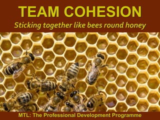1
|
MTL: The Professional Development Programme
Team Cohesion
TEAM COHESION
Sticking together like bees round honey
MTL: The Professional Development Programme
 