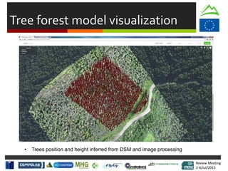 Review Meeting
2-4/Jul/2015
Review Meeting
2-4/Jul/2015
Tree forest model visualization
• Trees position and height inferred from DSM and image processing
 