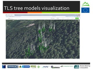 Review Meeting
2-4/Jul/2015
Review Meeting
2-4/Jul/2015
TLS tree models visualization
 