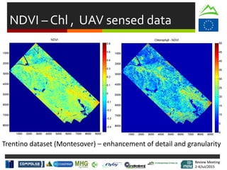 Review Meeting
2-4/Jul/2015
Review Meeting
2-4/Jul/2015
NDVI – Chl , UAV sensed data
Trentino dataset (Montesover) – enhancement of detail and granularity
 