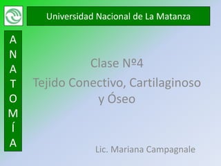 Universidad Nacional de La Matanza

A
N
A             Clase Nº4
T   Tejido Conectivo, Cartilaginoso
O              y Óseo
M
Í
A                Lic. Mariana Campagnale
 