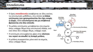 Επιπεδοτυπία
• Ο όρος επιπεδοτυπία αναφέρεται σε όλες εκείνες
τις εκτυπωτικές μεθόδους, στις οποίες η πλάκα
εκτύπωσης που χρησιμοποιείται δεν έχει εσοχές
ή εξοχές, αλλά εκτυπούμενη και μη επιφάνεια
βρίσκονται στο ίδιο επίπεδο.
• Το μελάνι εκτύπωσης μεταφέρεται στα σημεία
όπου υπάρχει θέμα στην εκτυπωτική πλάκα, ενώ
εκεί όπου δεν υπάρχει θέμα, υπάρχει νερό.
• Η εκτύπωση επιτυγχάνεται χάρη στην ιδιότητα
του νερού να απωθεί τη λιπαρή μελάνη.
• Η μελάνη συγκρατείται μόνο από τα σημεία,
όπου υπάρχει θέμα.
 