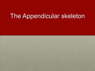 The Appendicular skeleton
 
