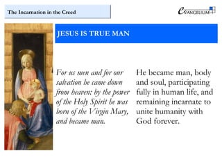 The Incarnation in the Creed
JESUS IS TRUE MAN
For us men and for our
salvation he came down
from heaven: by the power
of the Holy Spirit he was
born of the Virgin Mary,
and became man.
He became man, body
and soul, participating
fully in human life, and
remaining incarnate to
unite humanity with
God forever.
 