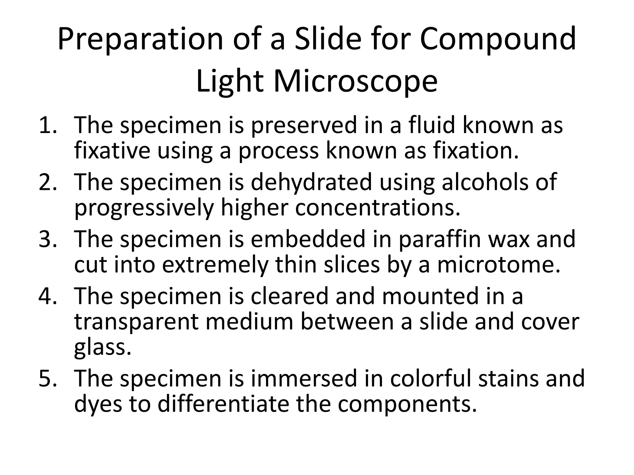 04 the microscope | PPTX