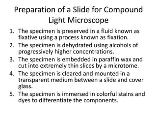 04 the microscope | PPTX