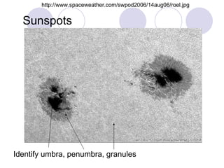 Identify umbra, penumbra, granules Sunspots http://www.spaceweather.com/swpod2006/14aug06/roel.jpg 