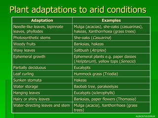 04 Transport System in Multicellular Plants | PPT