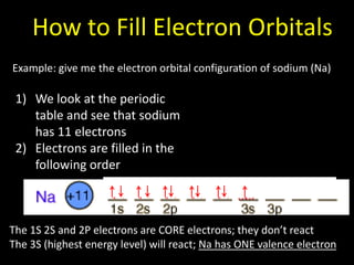How to Fill Electron Orbitals
Example: give me the electron orbital configuration of sodium (Na)

1) We look at the periodic
table and see that sodium
has 11 electrons
2) Electrons are filled in the
following order

The 1S 2S and 2P electrons are CORE electrons; they don’t react
The 3S (highest energy level) will react; Na has ONE valence electron

 