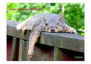 Custo da Sustentabilidade…




             http://1.bp.blogspot.com/_AFdxISgFq0Y/
             TGmvW6XqOHI/AAAAAAAAAAU/
             PTziqMsGuCQ/s1600/
             SquirrelResting222Jul.jpg
 