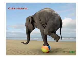 O pilar ambiental…
 