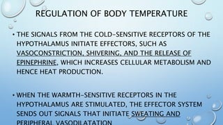 REGULATION OF BODY TEMPERATURE
• THE SIGNALS FROM THE COLD-SENSITIVE RECEPTORS OF THE
HYPOTHALAMUS INITIATE EFFECTORS, SUCH AS
VASOCONSTRICTION, SHIVERING, AND THE RELEASE OF
EPINEPHRINE, WHICH INCREASES CELLULAR METABOLISM AND
HENCE HEAT PRODUCTION.
• WHEN THE WARMTH-SENSITIVE RECEPTORS IN THE
HYPOTHALAMUS ARE STIMULATED, THE EFFECTOR SYSTEM
SENDS OUT SIGNALS THAT INITIATE SWEATING AND
 