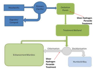 Waste Water Sanitation with Hydrogen Peroxide and Silver | PPTX