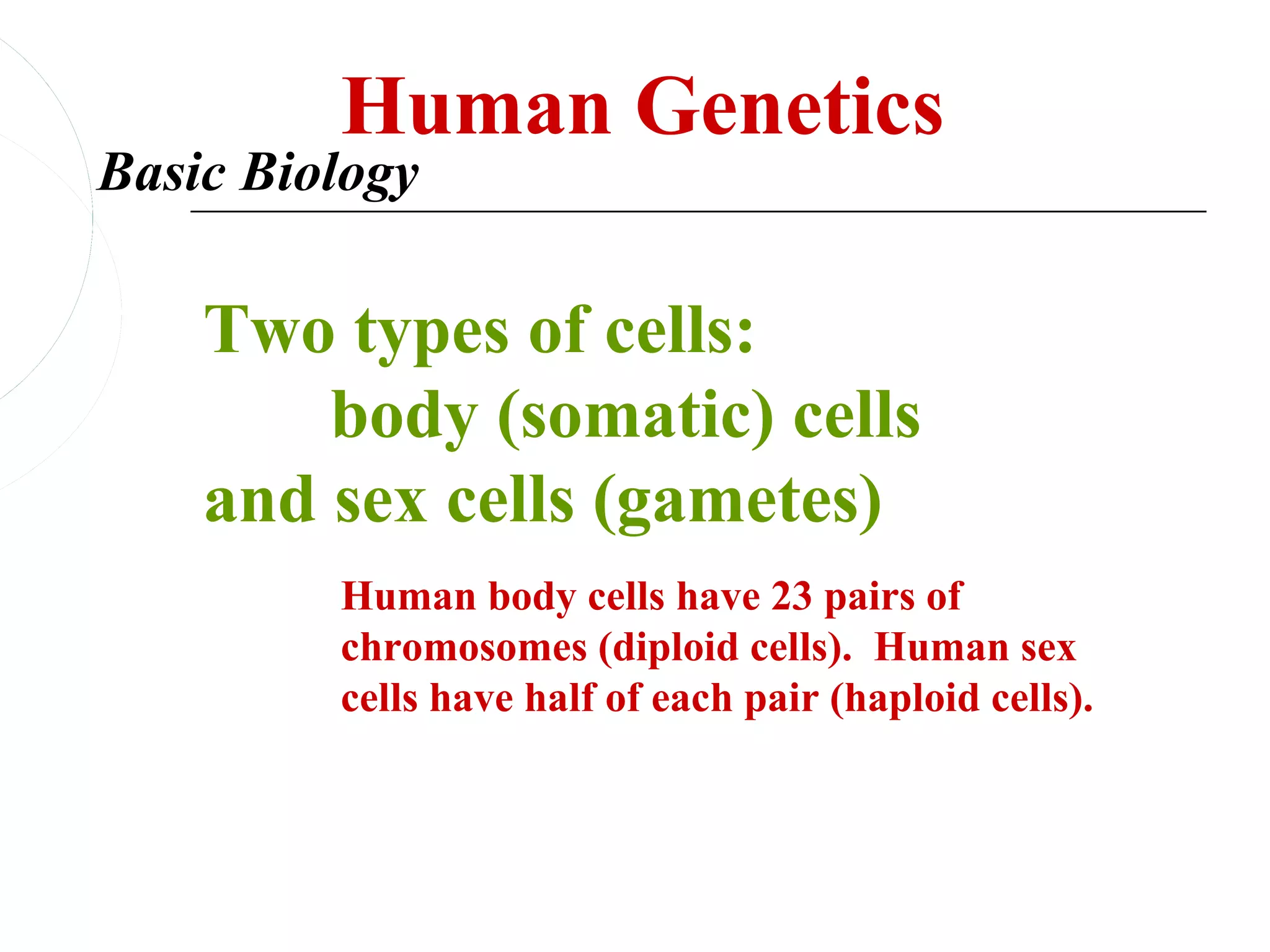 Human Genetics
Basic Biology

    Two types of cells:
        body (somatic) cells
    and sex cells (gametes)
         Human body cells have 23 pairs of
         chromosomes (diploid cells). Human sex
         cells have half of each pair (haploid cells).
 