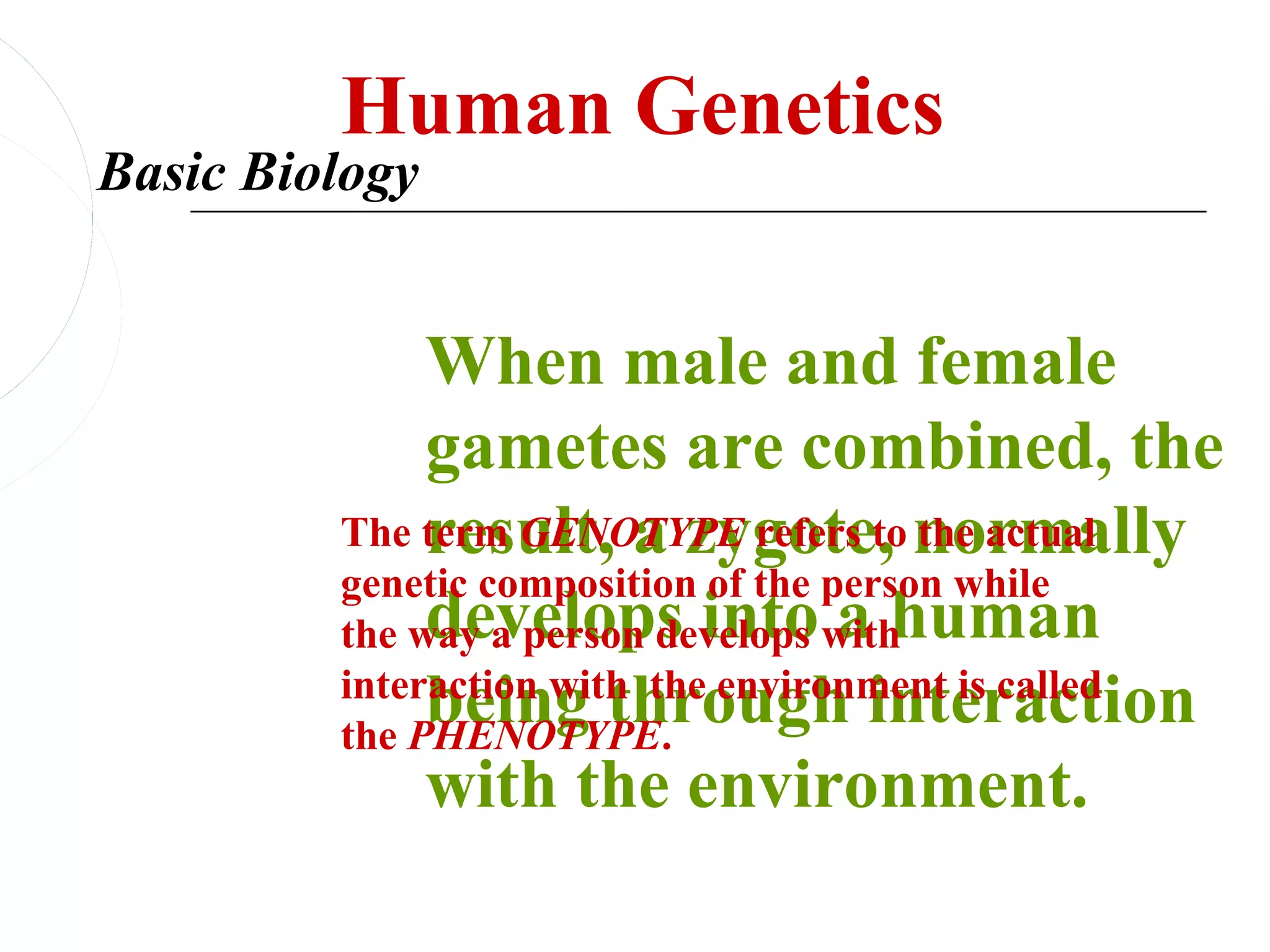 Human Genetics
Basic Biology


              When male and female
              gametes are combined, the
         The term GENOTYPE refers to normally
              result, a zygote, the actual
         genetic composition of the person while
              develops into a human
         the way a person develops with
              being through interaction
         interaction with the environment is called
         the PHENOTYPE.
              with the environment.
 