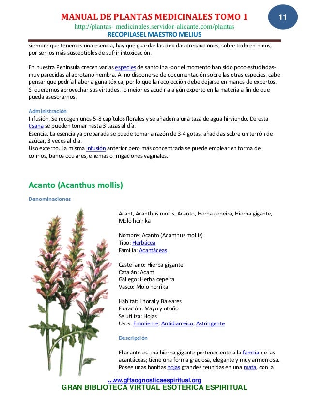 Manual De Plantas Medicinales Tomo 1 Recopilasel Maestro Melius Www