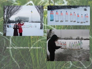 акція  « Допоможіть птахам! » 