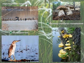 перспективні напрямки бьордвотчінг безпека  « тихого »  полювання 