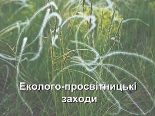 комплексний Еколого-просвітницькі  заходи 