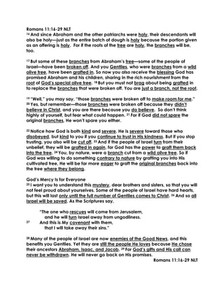 Romans 11:16-29 NLT
16 And since Abraham and the other patriarchs were holy, their descendants will
also be holy—just as the entire batch of dough is holy because the portion given
as an offering is holy. For if the roots of the tree are holy, the branches will be,
too.
17 But some of these branches from Abraham’s tree—some of the people of
Israel—have been broken off. And you Gentiles, who were branches from a wild
olive tree, have been grafted in. So now you also receive the blessing God has
promised Abraham and his children, sharing in the rich nourishment from the
root of God’s special olive tree. 18 But you must not brag about being grafted in
to replace the branches that were broken off. You are just a branch, not the root.
19 “Well,” you may say, “those branches were broken off to make room for me.”
20 Yes, but remember—those branches were broken off because they didn’t
believe in Christ, and you are there because you do believe. So don’t think
highly of yourself, but fear what could happen. 21 For if God did not spare the
original branches, He won’t spare you either.
22 Notice how God is both kind and severe. He is severe toward those who
disobeyed, but kind to you if you continue to trust in His kindness. But if you stop
trusting, you also will be cut off. 23 And if the people of Israel turn from their
unbelief, they will be grafted in again, for God has the power to graft them back
into the tree. 24 You, by nature, were a branch cut from a wild olive tree. So if
God was willing to do something contrary to nature by grafting you into His
cultivated tree, He will be far more eager to graft the original branches back into
the tree where they belong.
God’s Mercy Is for Everyone
25 I want you to understand this mystery, dear brothers and sisters, so that you will
not feel proud about yourselves. Some of the people of Israel have hard hearts,
but this will last only until the full number of Gentiles comes to Christ. 26 And so all
Israel will be saved. As the Scriptures say,
“The one who rescues will come from Jerusalem,
and he will turn Israel away from ungodliness.
27 And this is My covenant with them,
that I will take away their sins.”
28 Many of the people of Israel are now enemies of the Good News, and this
benefits you Gentiles. Yet they are still the people He loves because He chose
their ancestors Abraham, Isaac, and Jacob. 29 For God’s gifts and His call can
never be withdrawn. He will never go back on His promises.
Romans 11:16-29 NLT
 