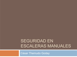 SEGURIDAD EN
ESCALERAS MANUALES
César Themudo Goday
 