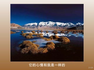 它的心情和我是一样的 