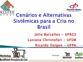 Júlio Barcellos - UFRGS Luciana Christofari - UFSM Ricardo Oaigen - UFPA 