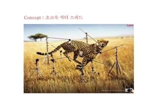 Concept : 초고속 셔터 스피드
 