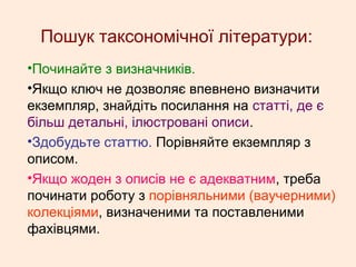 Пошук таксономічної літератури:
•Починайте з визначників.
•Якщо ключ не дозволяє впевнено визначити
екземпляр, знайдіть посилання на статті, де є
більш детальні, ілюстровані описи.
•Здобудьте статтю. Порівняйте екземпляр з
описом.
•Якщо жоден з описів не є адекватним, треба
починати роботу з порівняльними (ваучерними)
колекціями, визначеними та поставленими
фахівцями.
 