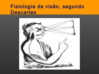Fisiologia da visão, segundo Descartes 