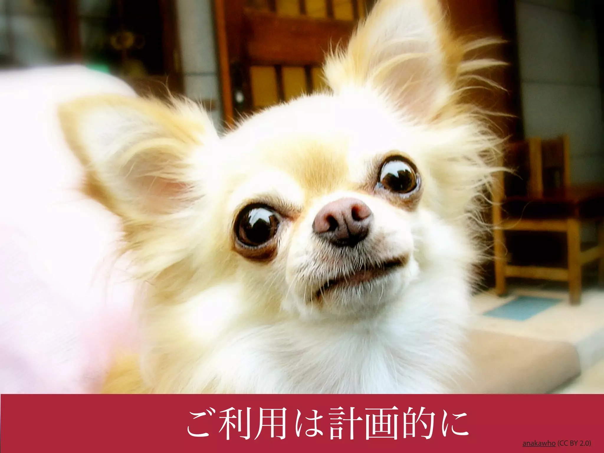 ご利用は計画的に   anakawho (CC BY 2.0)
 